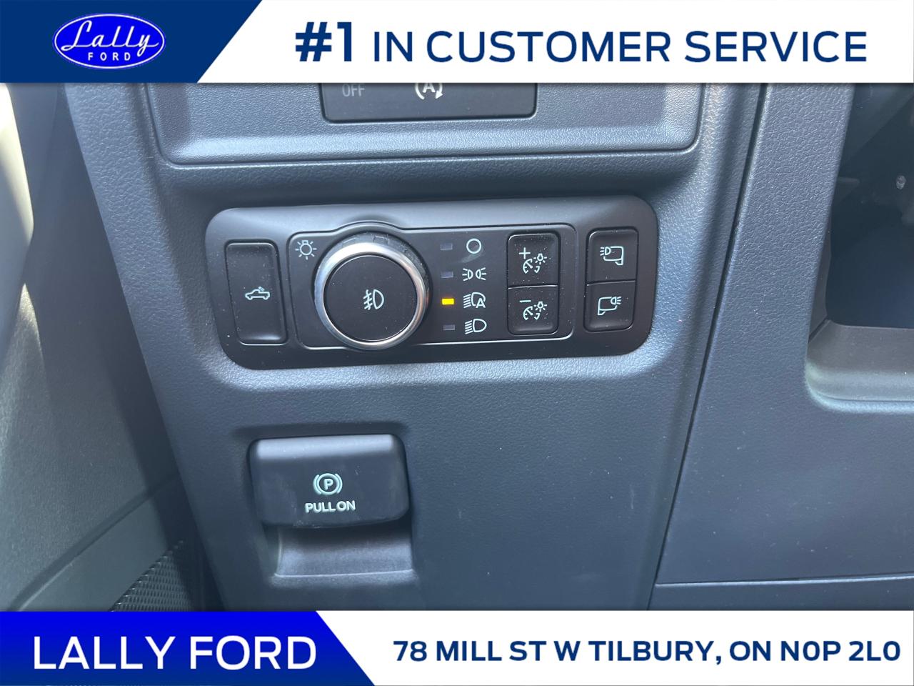 2025 Ford F-150 XLT Photo