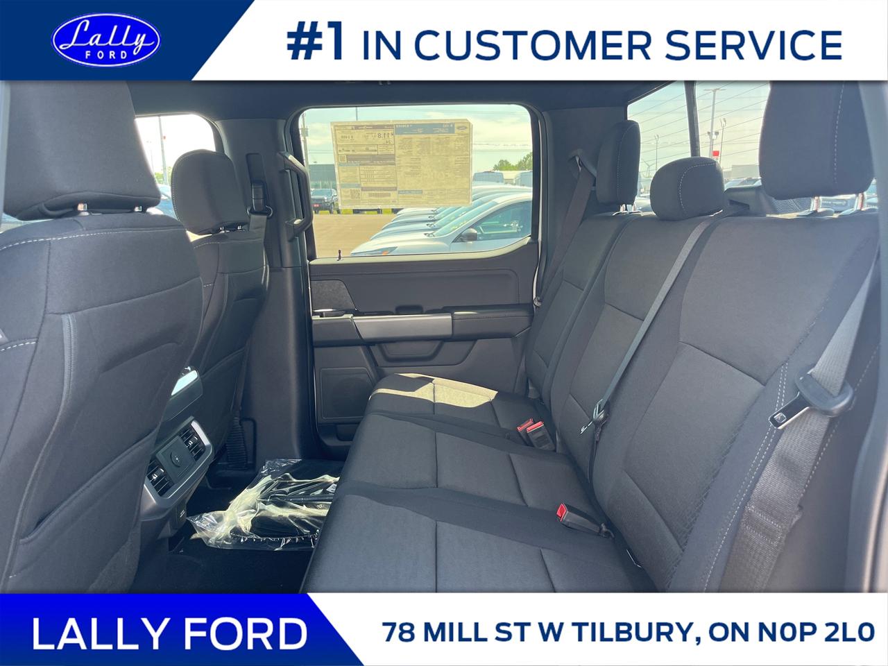 2025 Ford F-150 XLT Photo