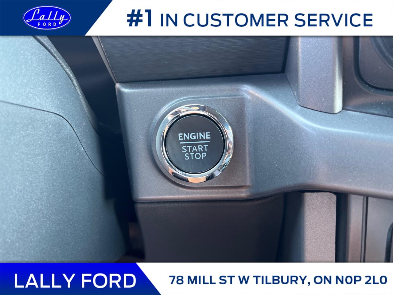 2025 Ford F-150 XLT Photo