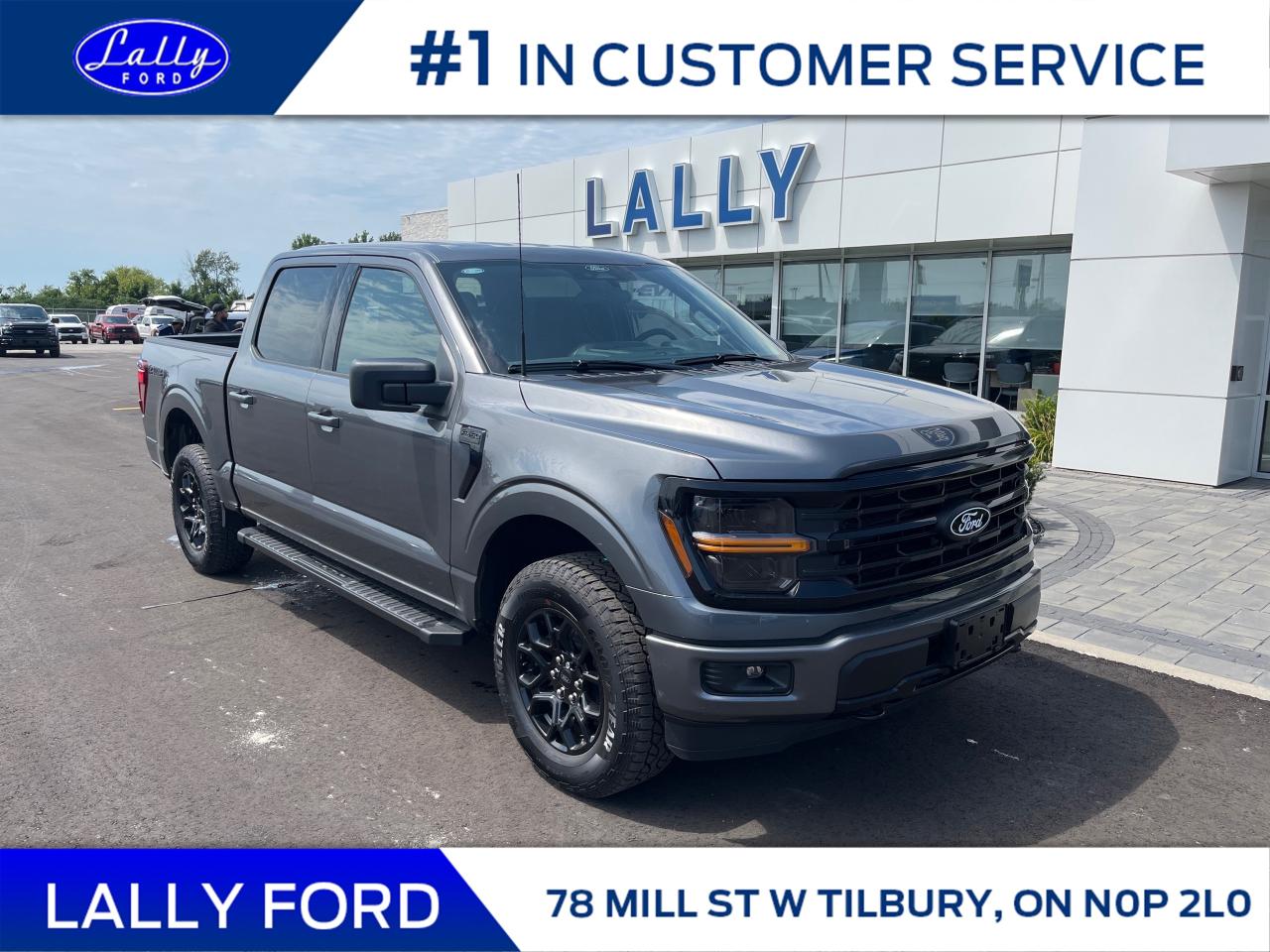 New 2025 Ford F-150 XLT for sale in Tilbury, ON