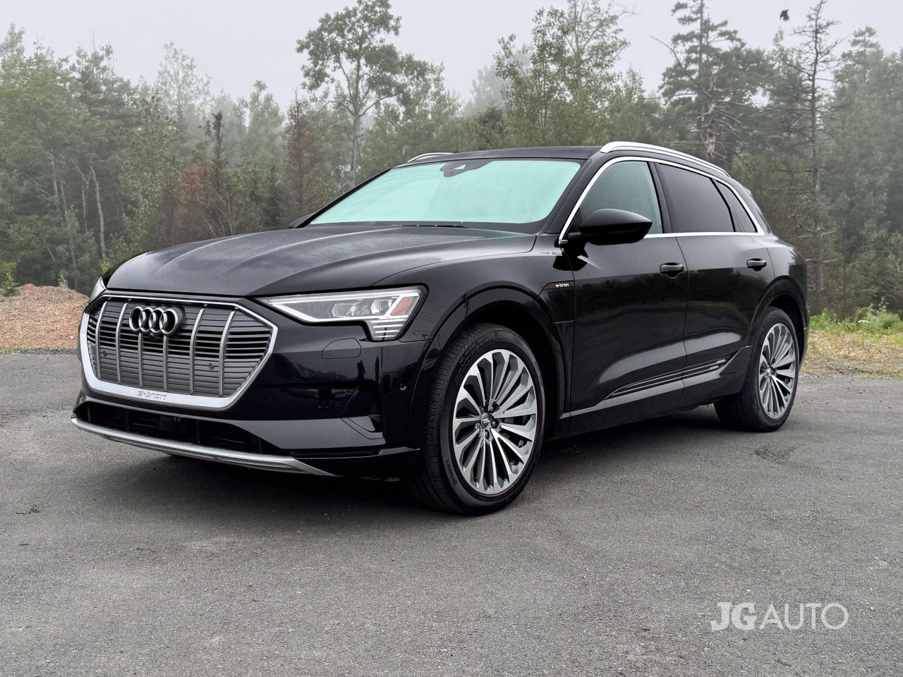 2019 Audi E-Tron Technik quattro