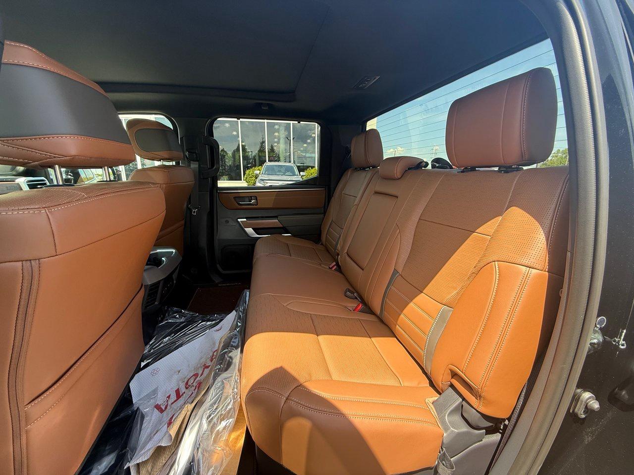 2025 Toyota Tundra 1794 Photo