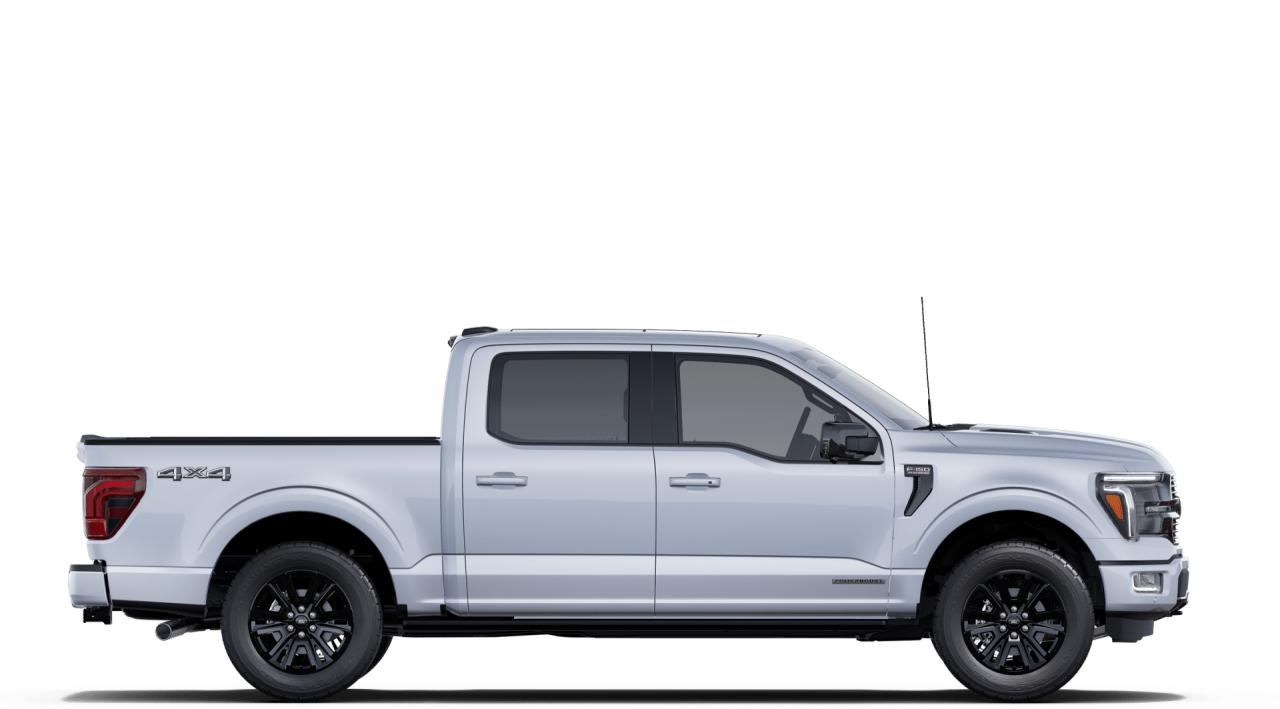2025 Ford F-150 Platinum Photo4