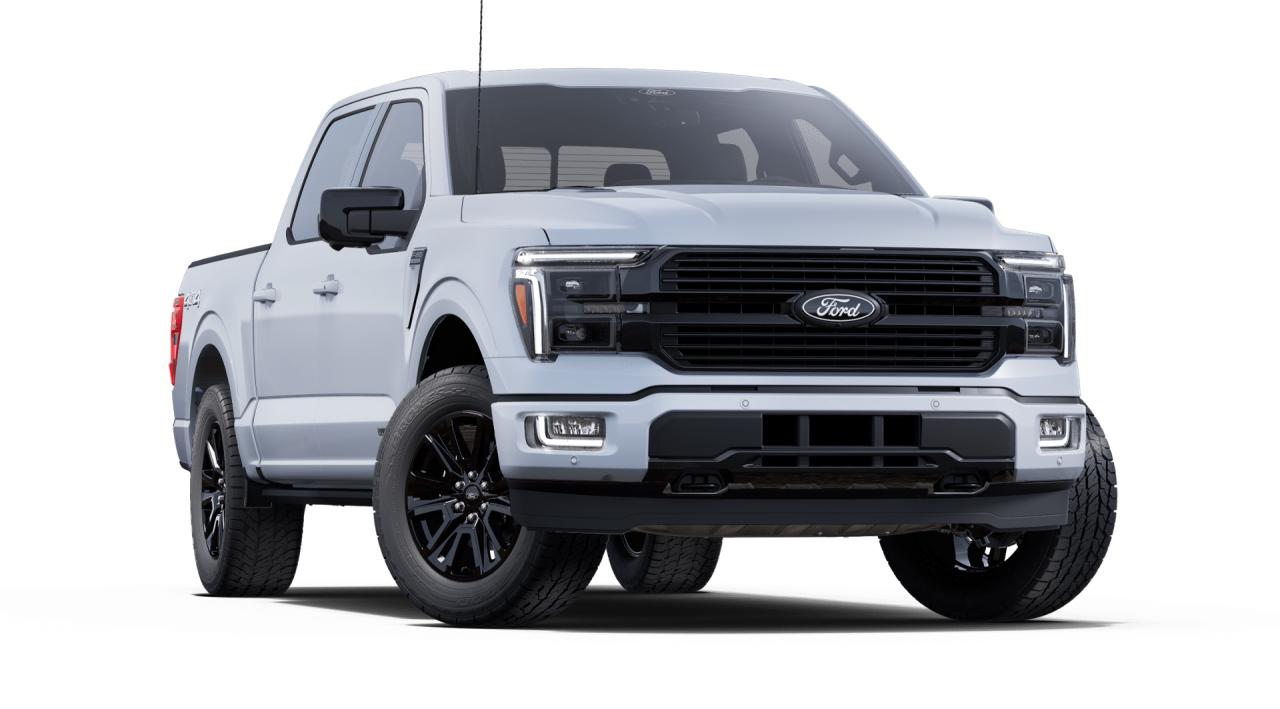 2025 Ford F-150 Platinum Photo3
