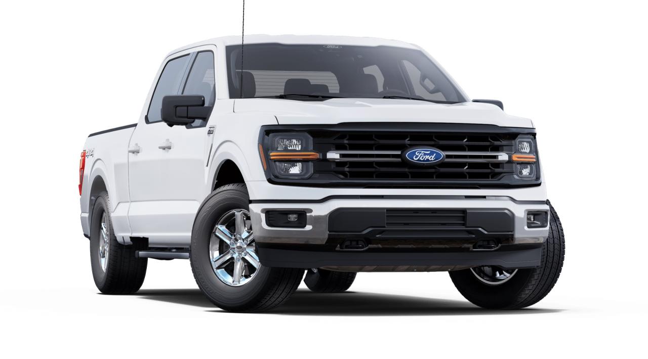 2025 Ford F-150 XLT Photo3