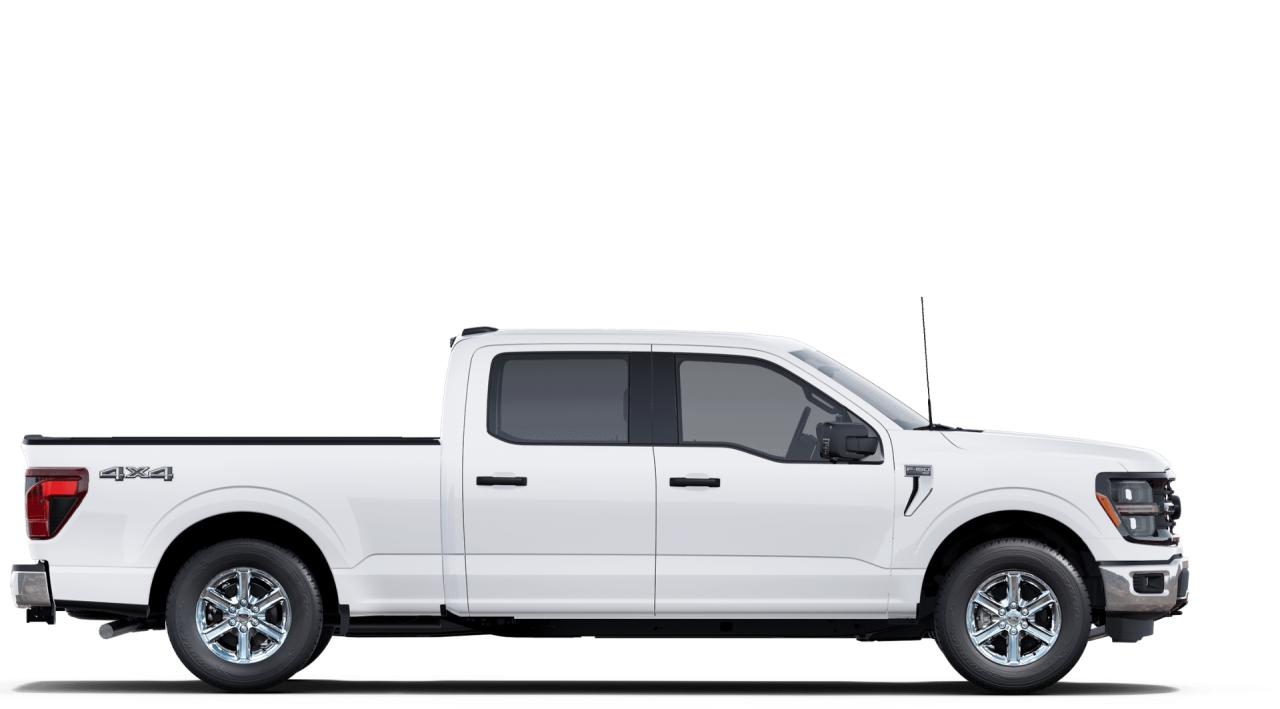 2025 Ford F-150 4x4 Supercrew-157 Photo5