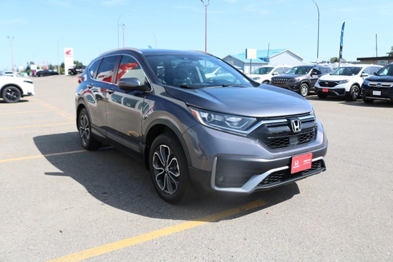 2020 Honda CR-V EX-L Photo