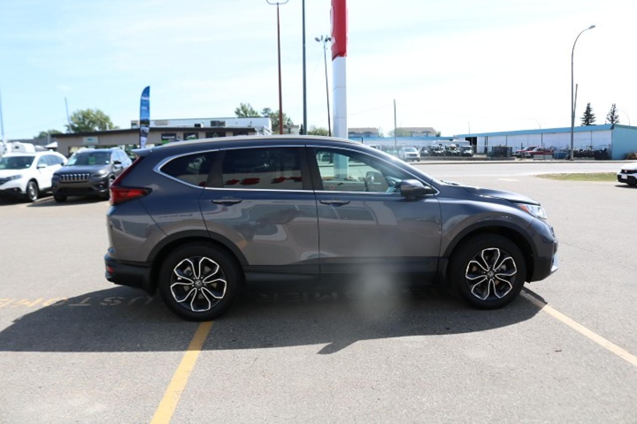 2020 Honda CR-V EX-L Photo