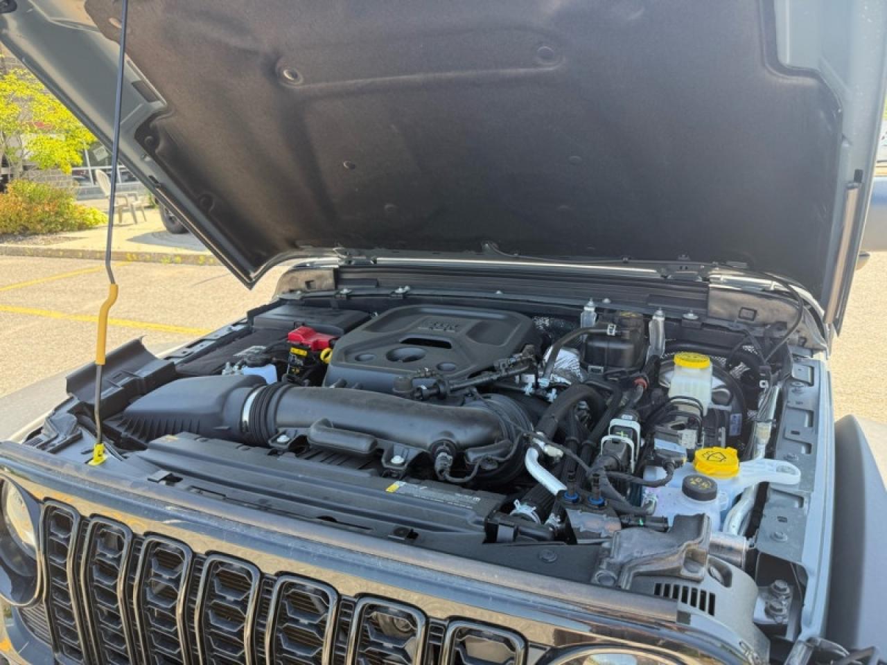 2025 Jeep Wrangler Willys  - Freedom Top Photo