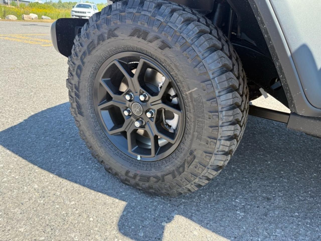 2025 Jeep Wrangler Willys  - Freedom Top Photo