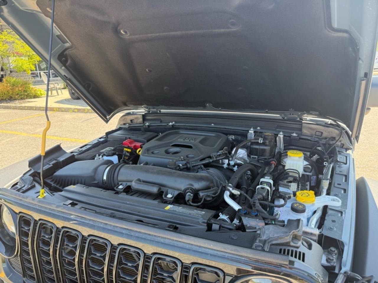 2025 Jeep Wrangler Willys  - Freedom Top Photo