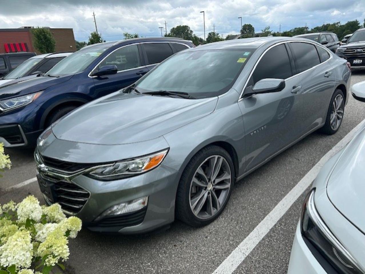 Used 2023 Chevrolet Malibu Premier for sale in Watford, ON