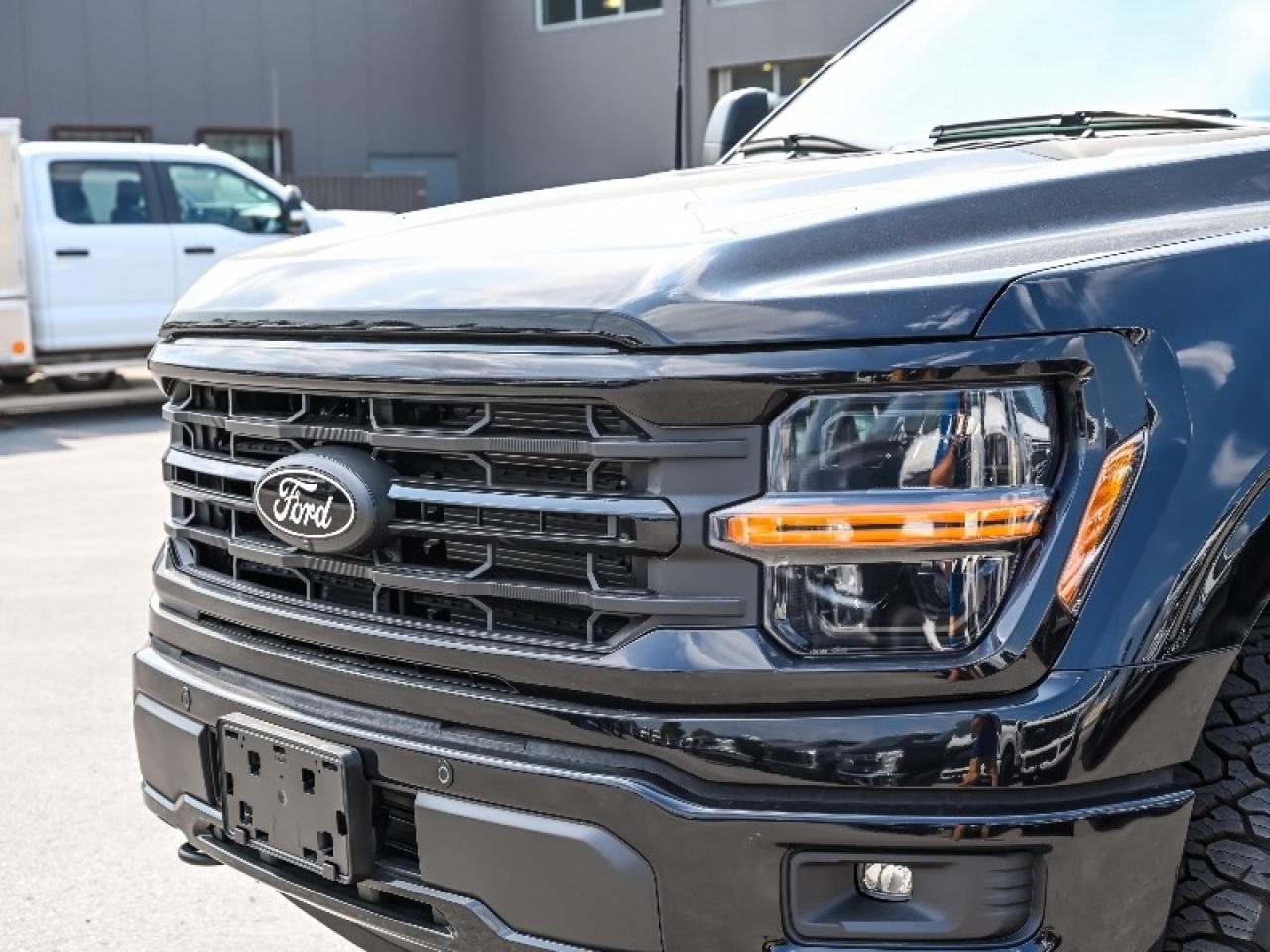 2025 Ford F-150 XLT Photo