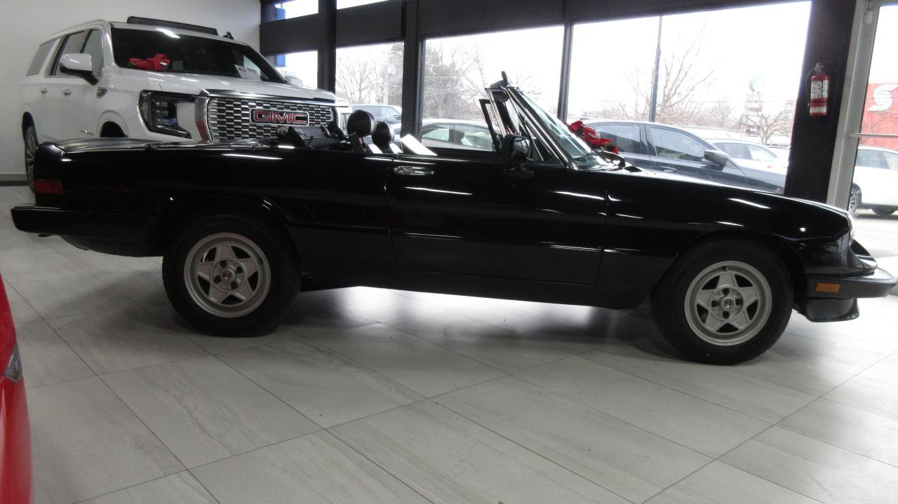1988 Alfa Romeo Spider Graduate Spyder Injection Photo2