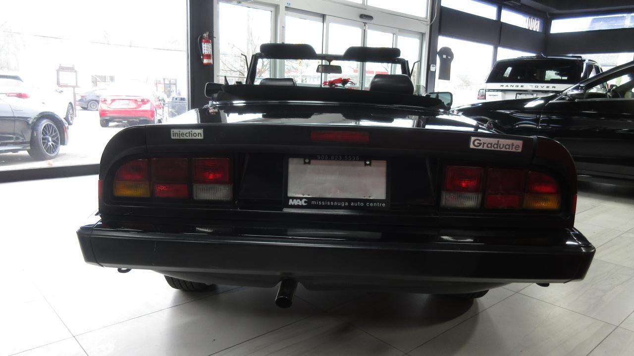1988 Alfa Romeo Spider InjectionGraduate Spyder - Photo #4