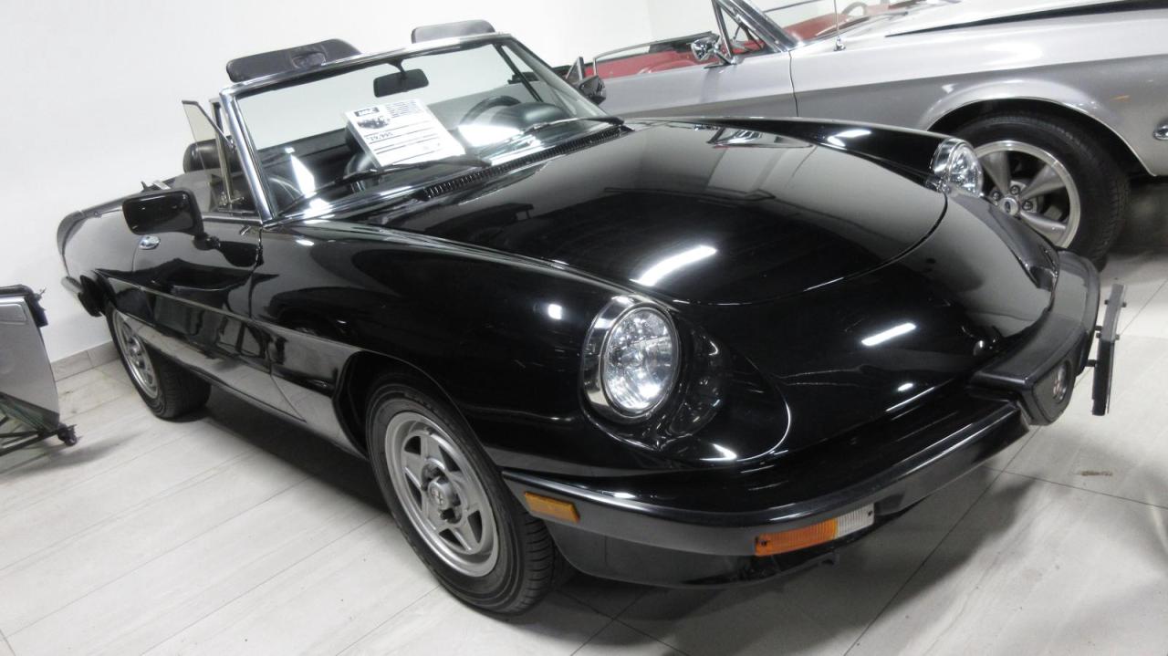 Used 1988 Alfa Romeo Spider InjectionGraduate Spyder for sale in Mississauga, ON
