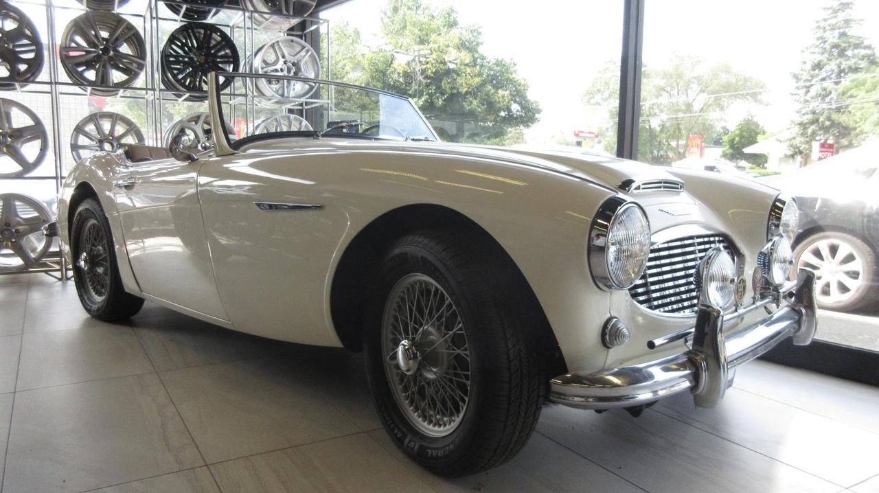 1959 Austin-Healey 3000 100/6 - Photo #1