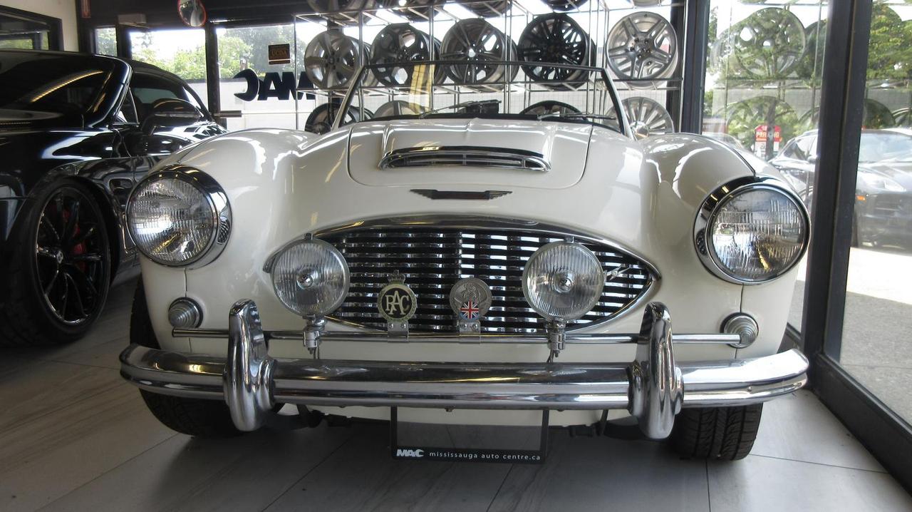 1959 Austin-Healey 3000 100/6 Photo