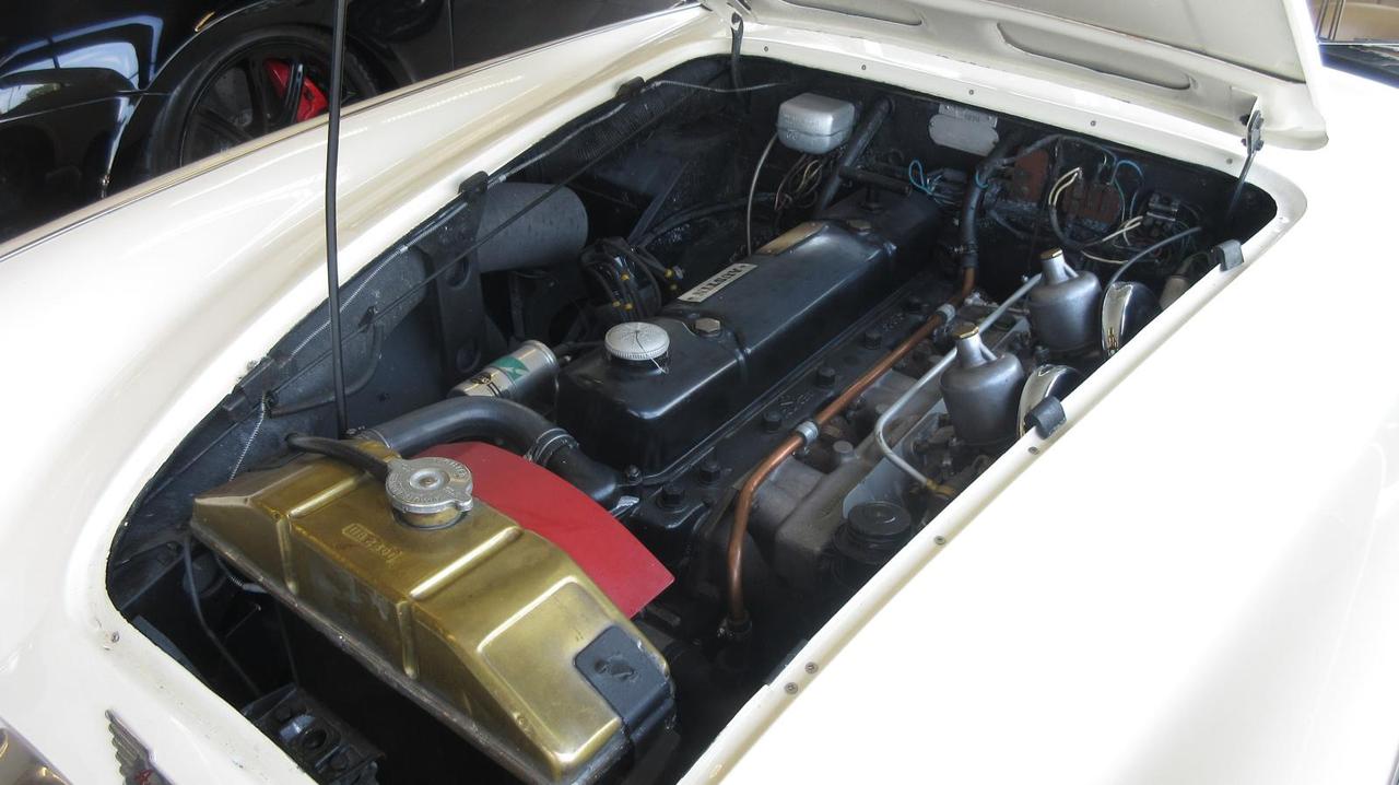 1959 Austin-Healey 3000 100/6 Photo