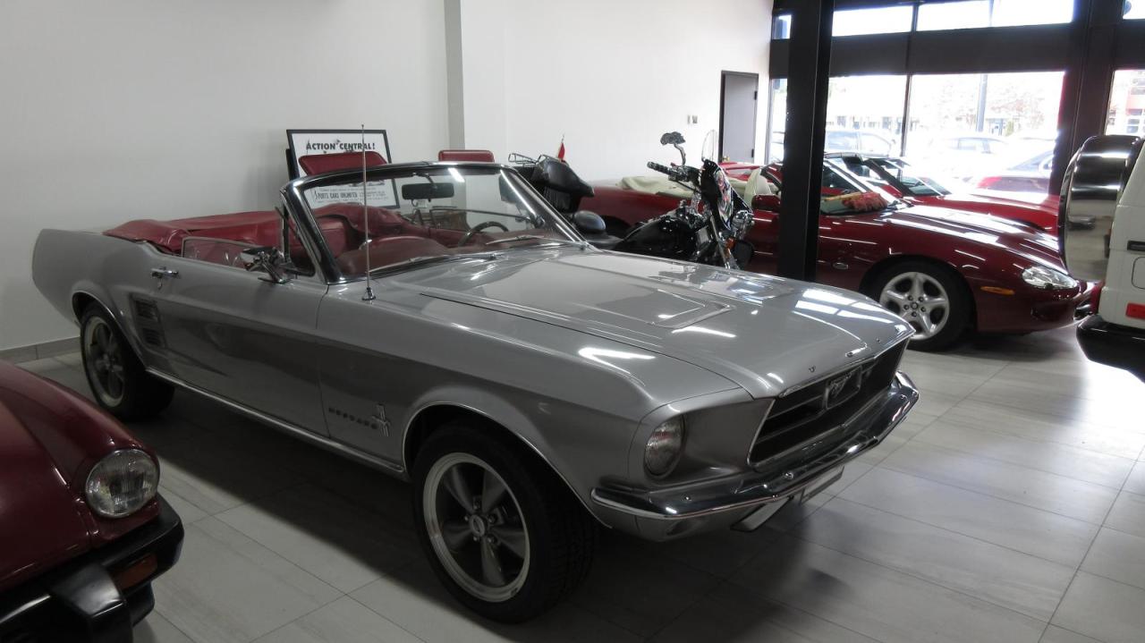 1967 Ford Mustang  - Photo #4