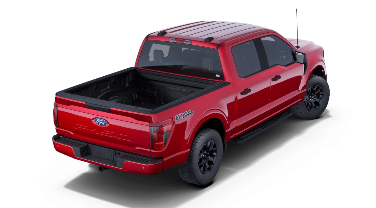 2025 Ford F-150 STX® Photo