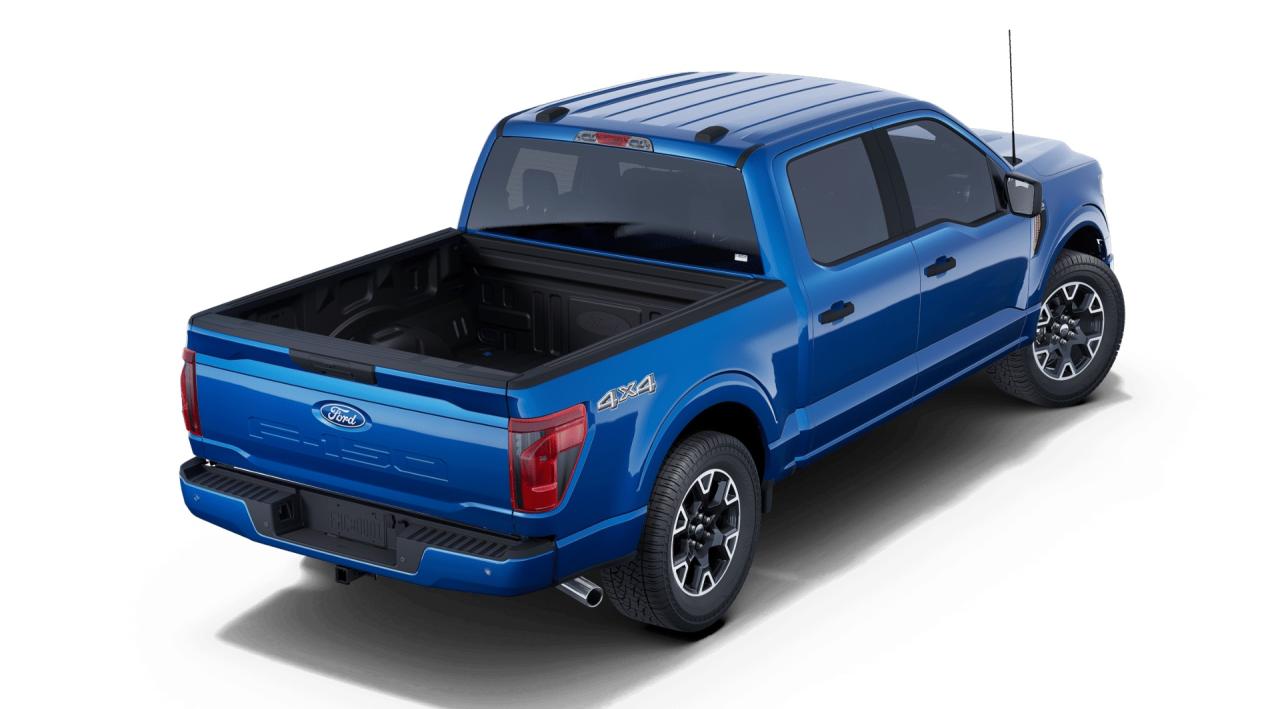 2025 Ford F-150 STX® Photo2