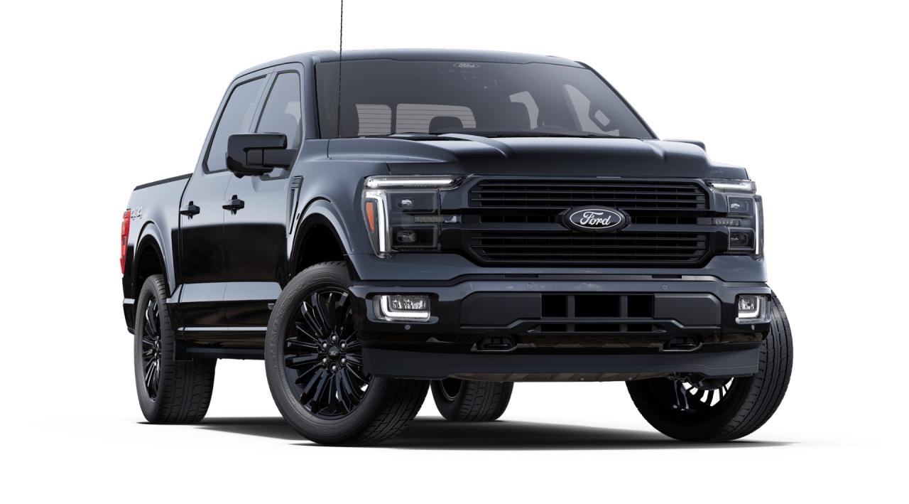 2025 Ford F-150 PLATINUM Photo3