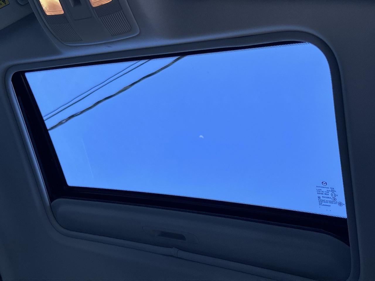 12772052