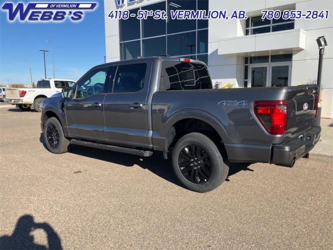 2025 Ford F-150 XLT Photo4