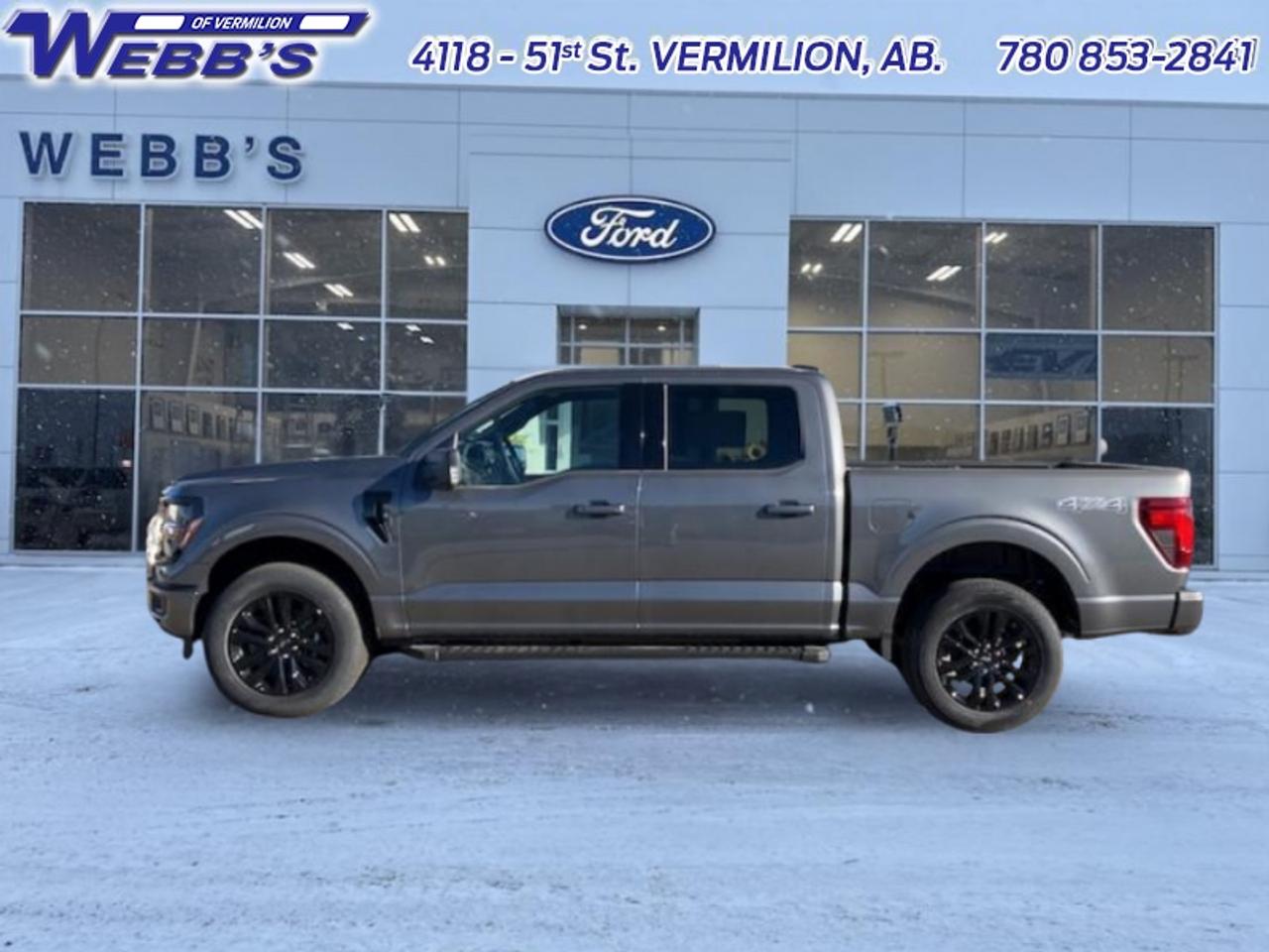 2025 Ford F-150 XLT Photo0
