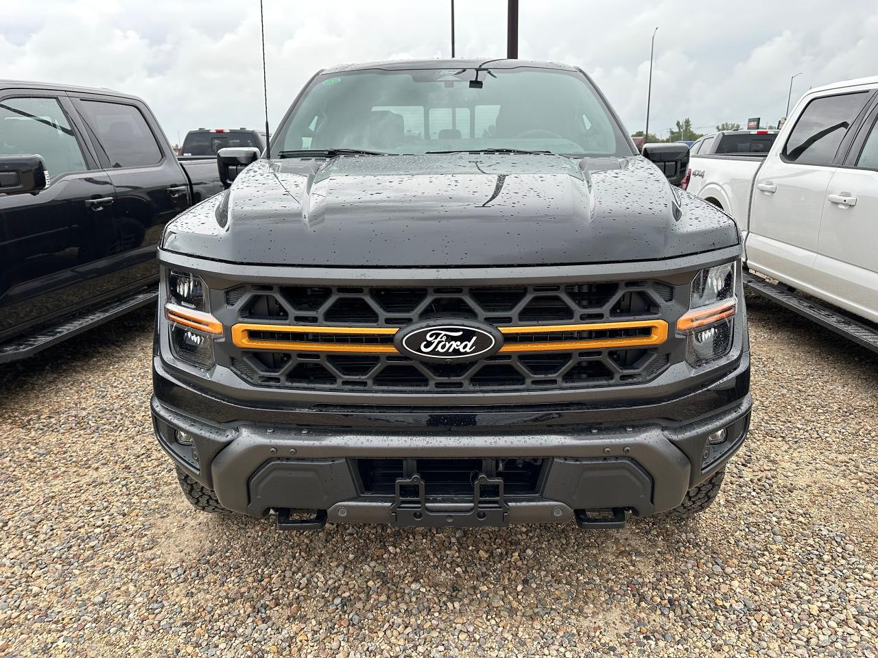 2025 Ford F-150 TREMOR 4WD SuperCrew 5.5' Box 402A Photo