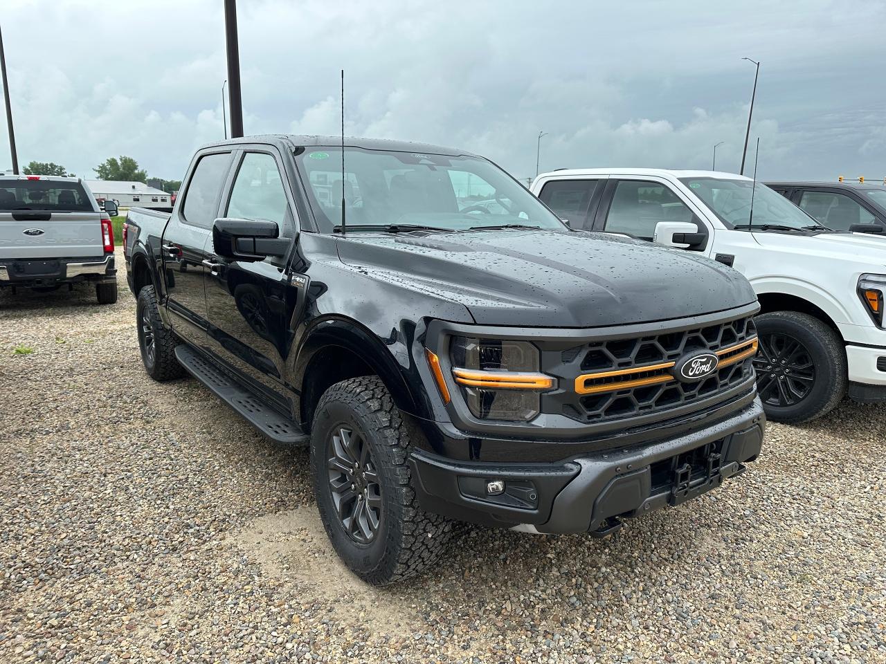 2025 Ford F-150 TREMOR 4WD SuperCrew 5.5' Box 402A Photo