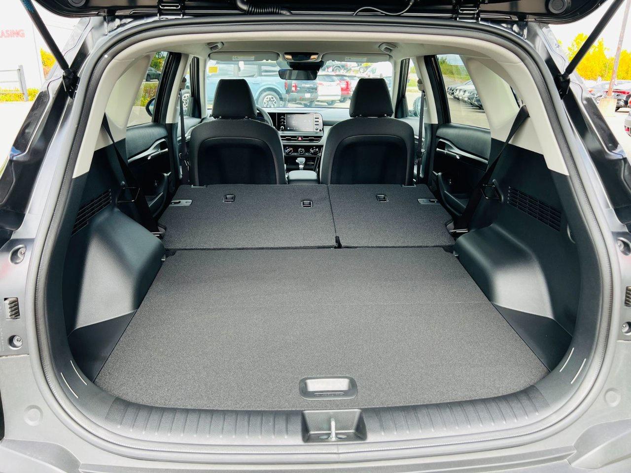 2026 Kia Seltos LX Photo