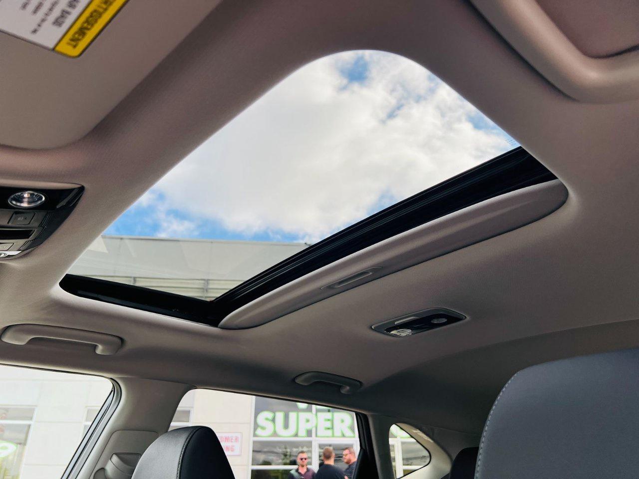 2026 Kia Seltos SX Photo