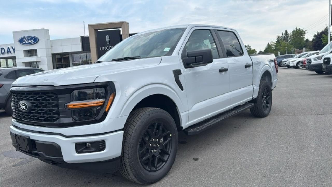 2025 Ford F-150 STX Photo3