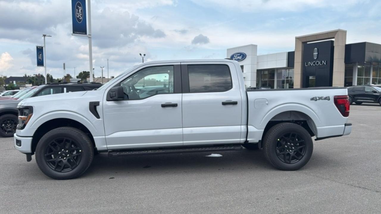 2025 Ford F-150 STX Photo4