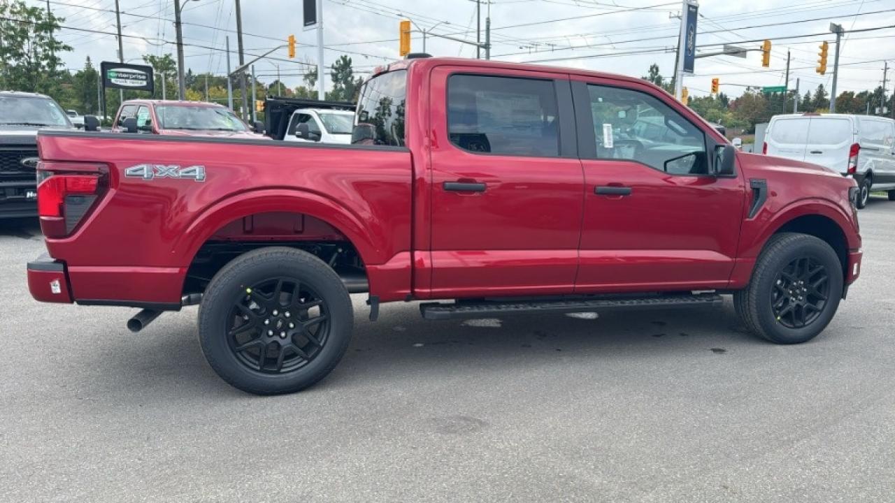 2025 Ford F-150 STX Photo2