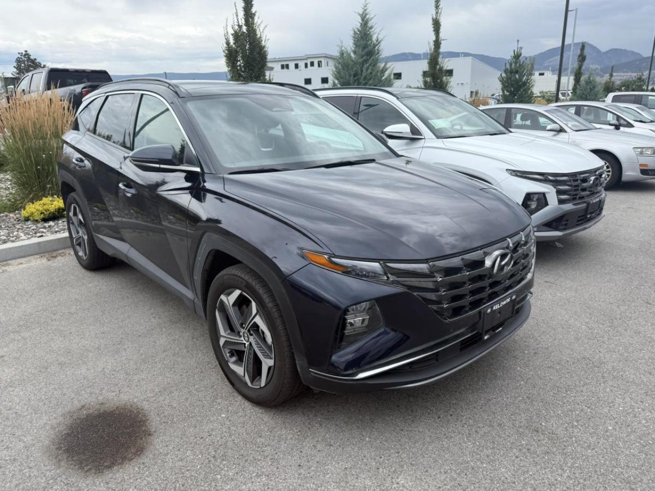 Used 2022 Hyundai Tucson Hybrid Luxury for sale in Kelowna, BC