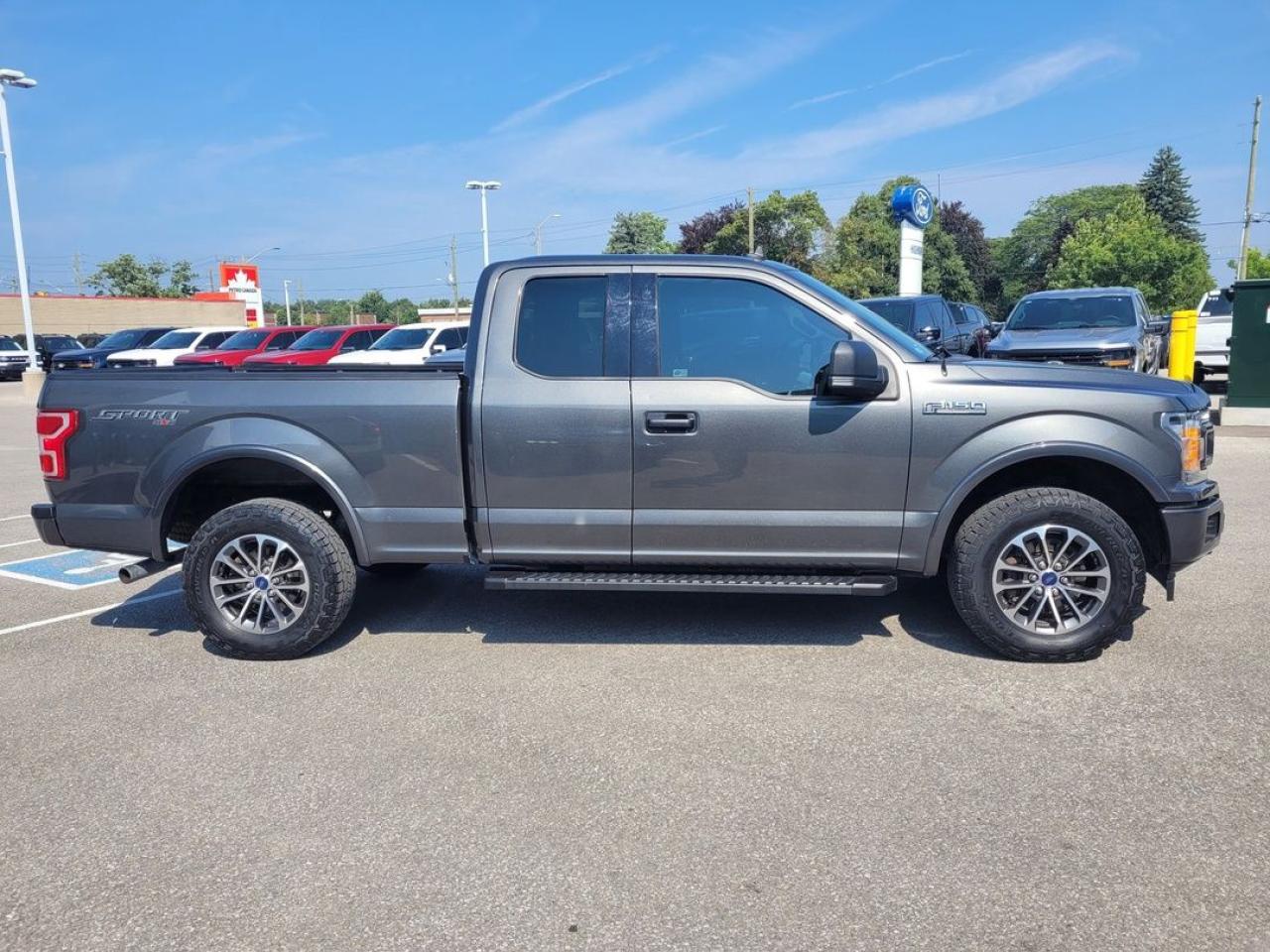 2019 Ford F-150 XLT Photo6