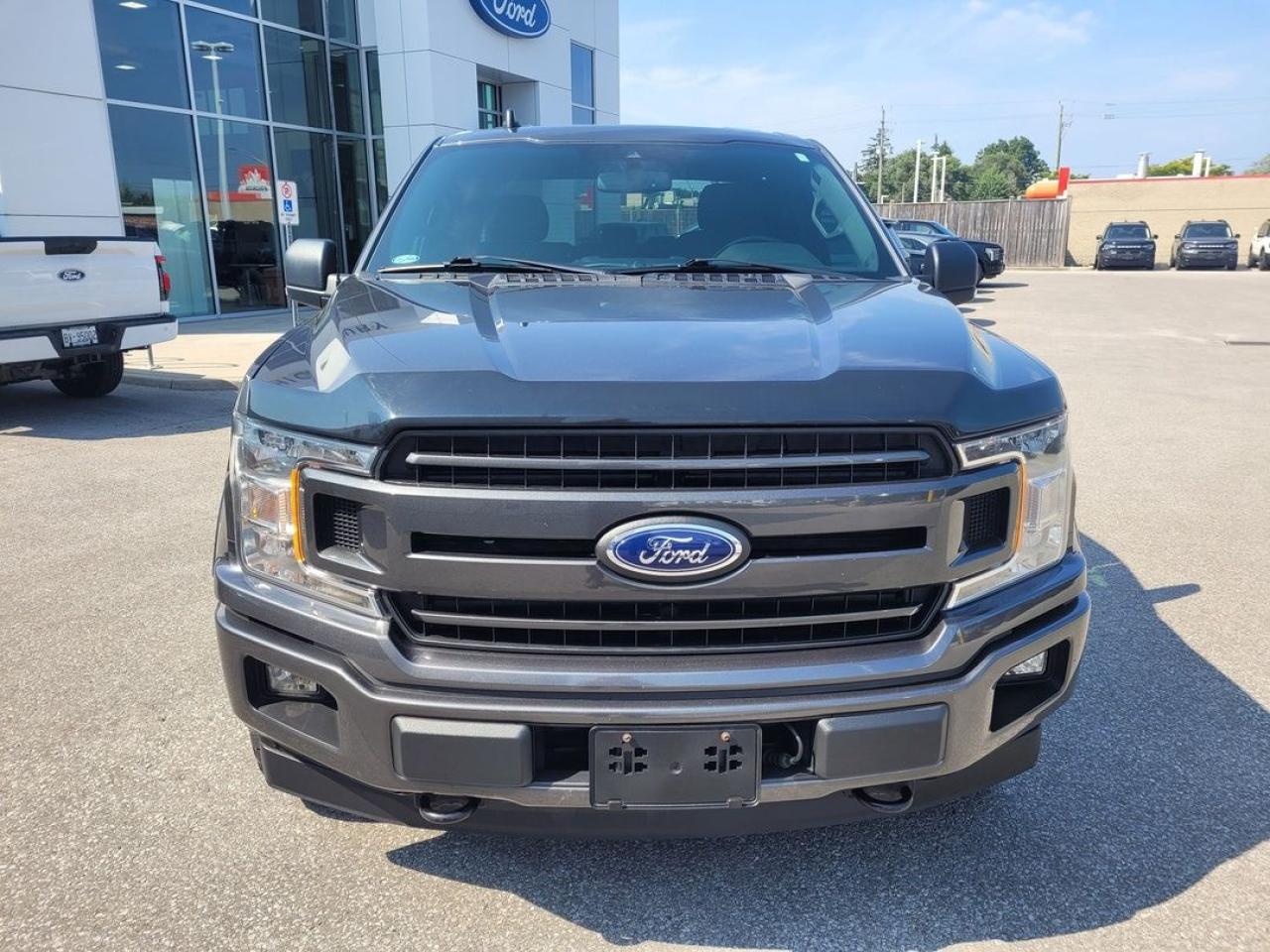 2019 Ford F-150 XLT Photo8
