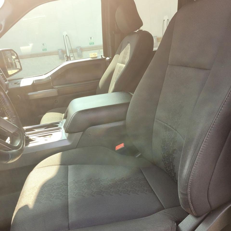 2019 Ford F-150 XLT Photo9
