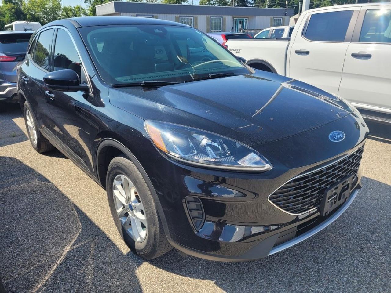 2020 Ford Escape SE Photo8