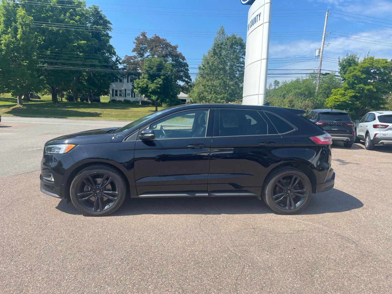 2020 Ford Edge ST Photo