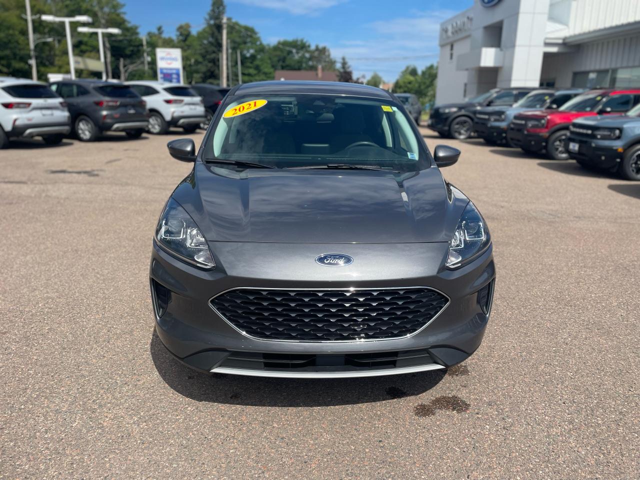 2021 Ford Escape SE Photo