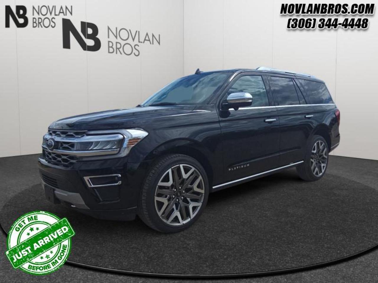 Used 2022 Ford Expedition Platinum  - Navigation - Low Mileage for sale in Paradise Hill, SK