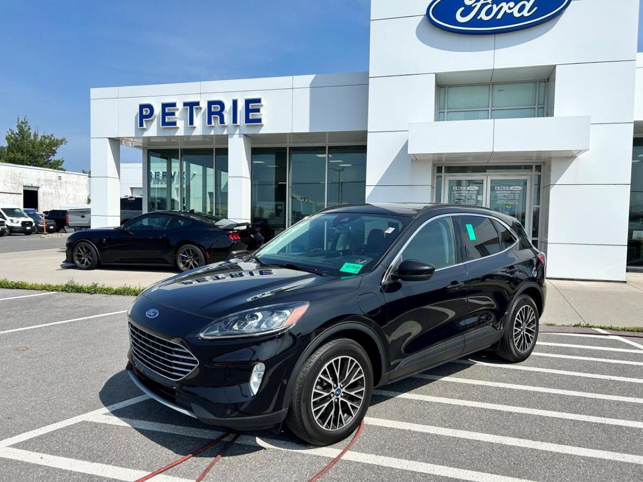 Used 2021 Ford Escape Hybrid Titanium Plug-In for sale in Kingston, ON