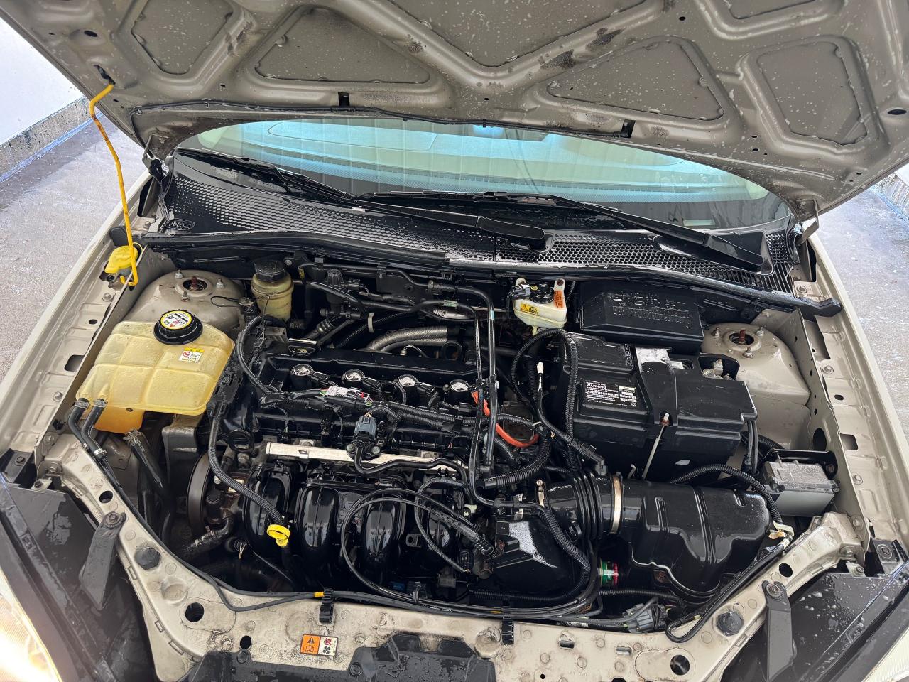 2006 Ford Focus SE, MINT CONDITION, RUST FREE, ONLY 47KMS - Photo #16