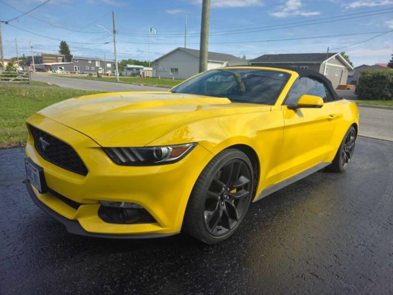 Used 2016 Ford Mustang EcoBoost Premium | Leather | Nav | Heated & Cooled Seats | Memory Seats | Bluetooth | and More ! for sale in Guelph, ON