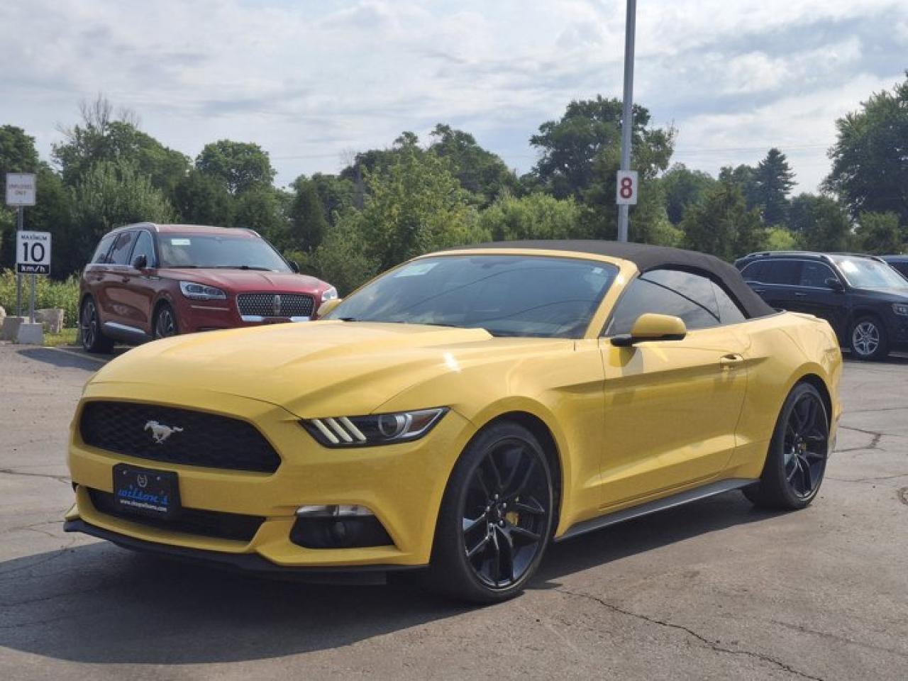 Used 2016 Ford Mustang EcoBoost Premium | Leather | Nav | Heated & Cooled Seats | Memory Seats | Bluetooth | and More ! for sale in Guelph, ON