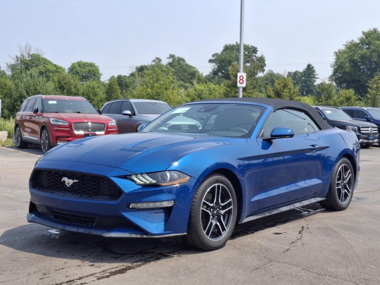 Used 2022 Ford Mustang EcoBoost Premium Convertible | Manual | 101A Group | Active Valve Exhaust | Reverse Camera | for sale in Guelph, ON